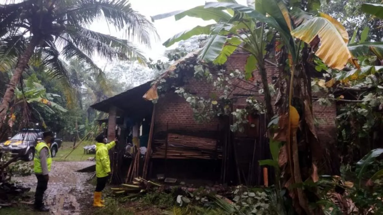 Akibat Hujan Deras, Pohon Tumbang di Trenggalek Timpa Rumah Warga
