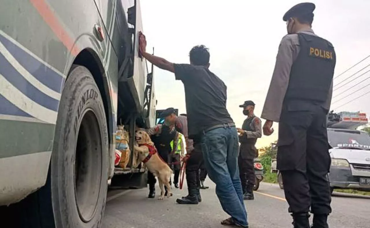 Gunakan Narkoba, Sopir dan Kernet Bus Antar Provinsi Diamankan Polda Jambi