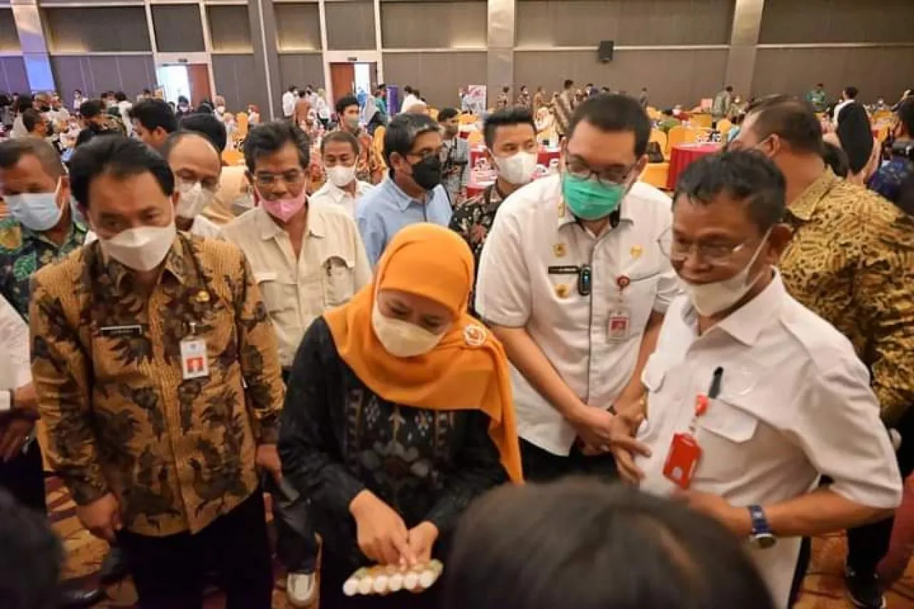 Foto: Setdaprov Sulteng