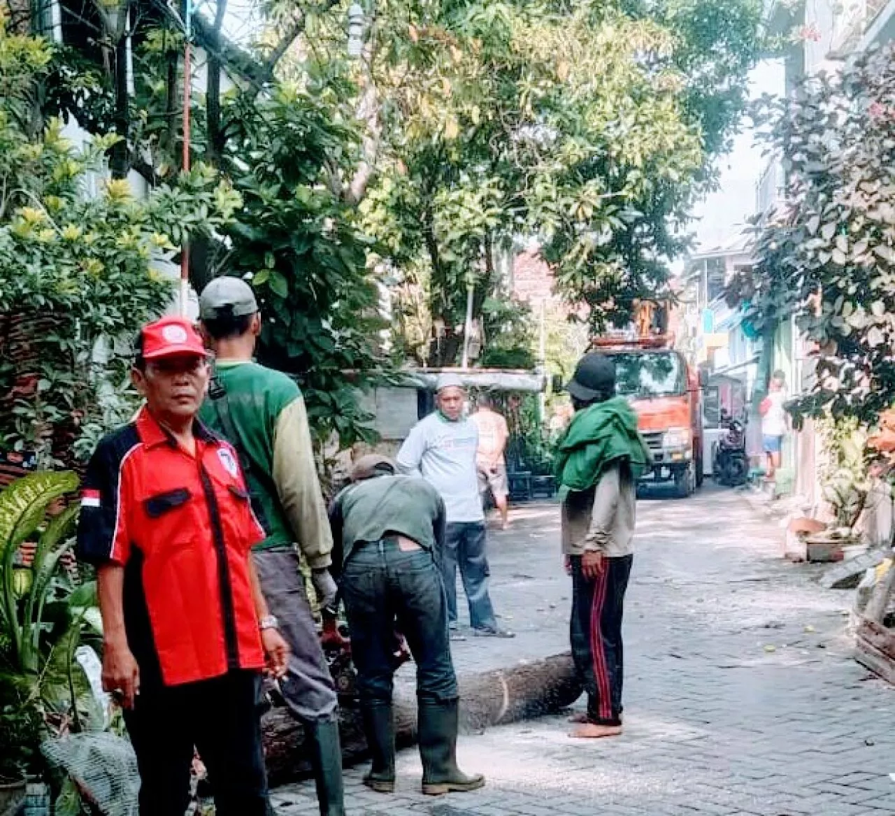 Relawan Komen ER -JI dan GAS, Giat Perampingan Pohon