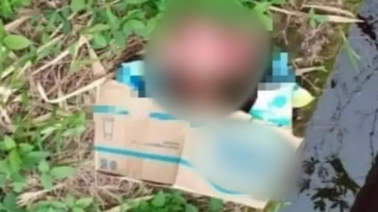 Warga Ketapang Temukan Bayi Perempuan, Kondisi Masih Hidup