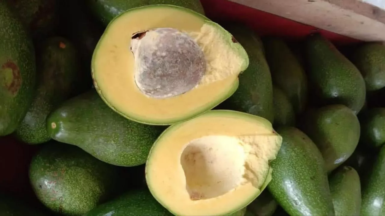 Bukan Cuma Skincare, 5 Makanan Ini Bisa Bikin Glowing Luar Dalam