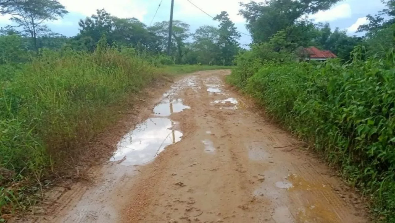 Jalan Rusak, Warga Karanganyar Minta Pemerintah Lakukan Perbaikan