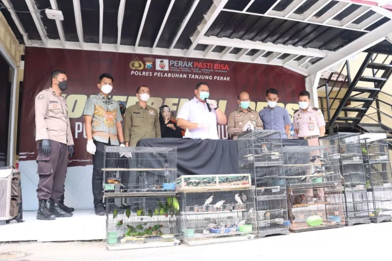 Bisnis Satwa Dilindungi, Dua Pelaku Ditangkap Polisi