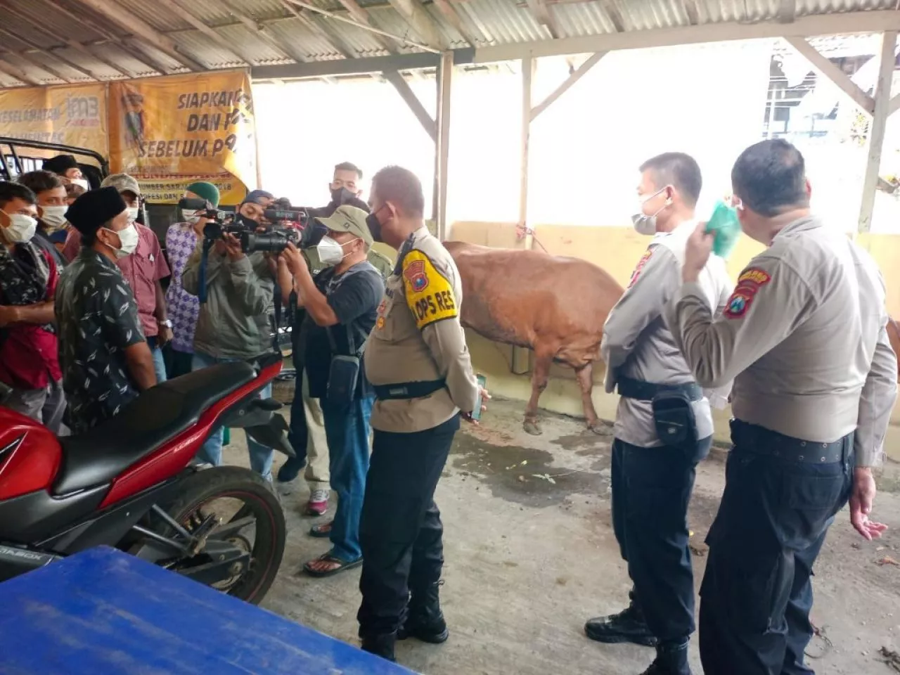 Aksi Anggota Polsek Ranuyoso Lumajang Hadang Maling Sapi