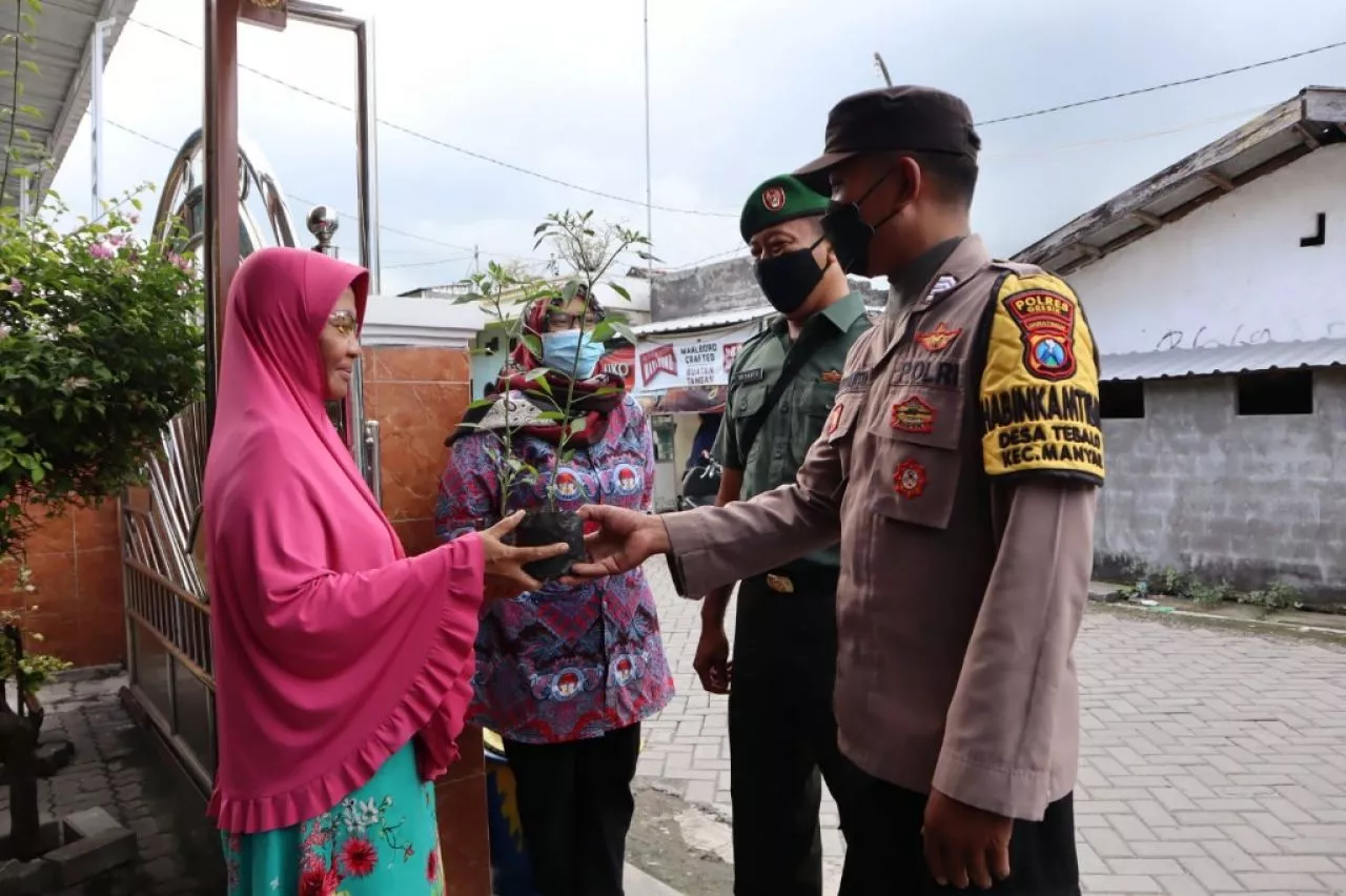 Harga Cabai Meroket, Anggota Bhabinkamtibmas Berikan Bantuan Bibit Cabai