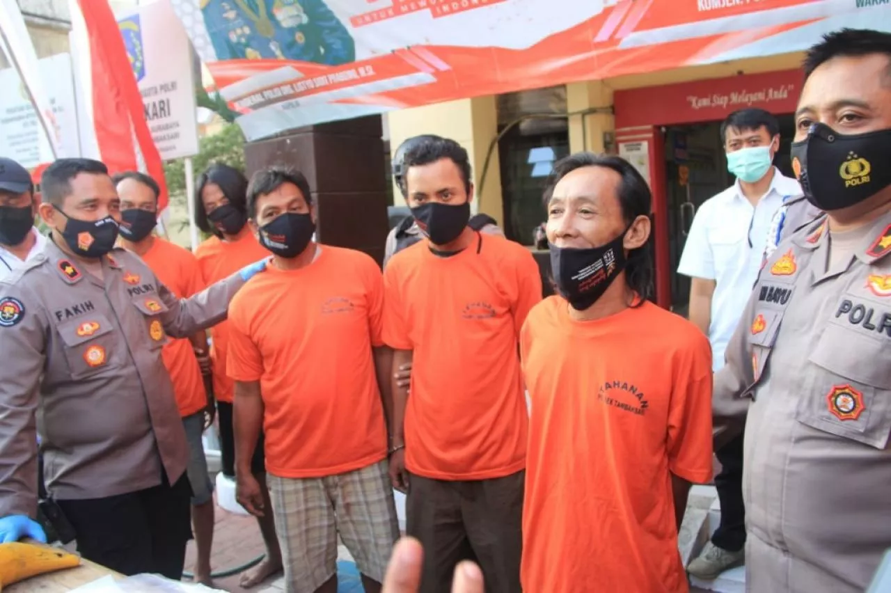 Gegara Merpati, 5 Pelaku Diamankan Polsek Tambaksari