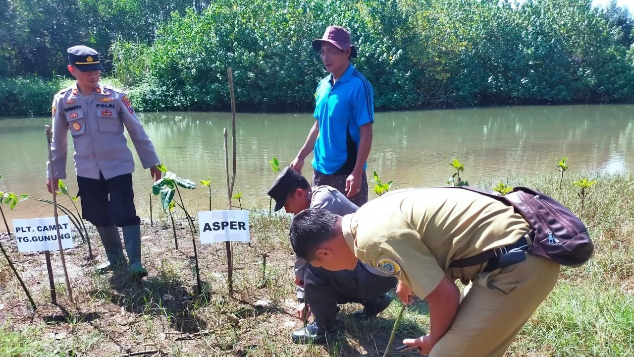 Hari Mangrove Sedunia, Polres Tulungagung Ikut Menanam Bibit