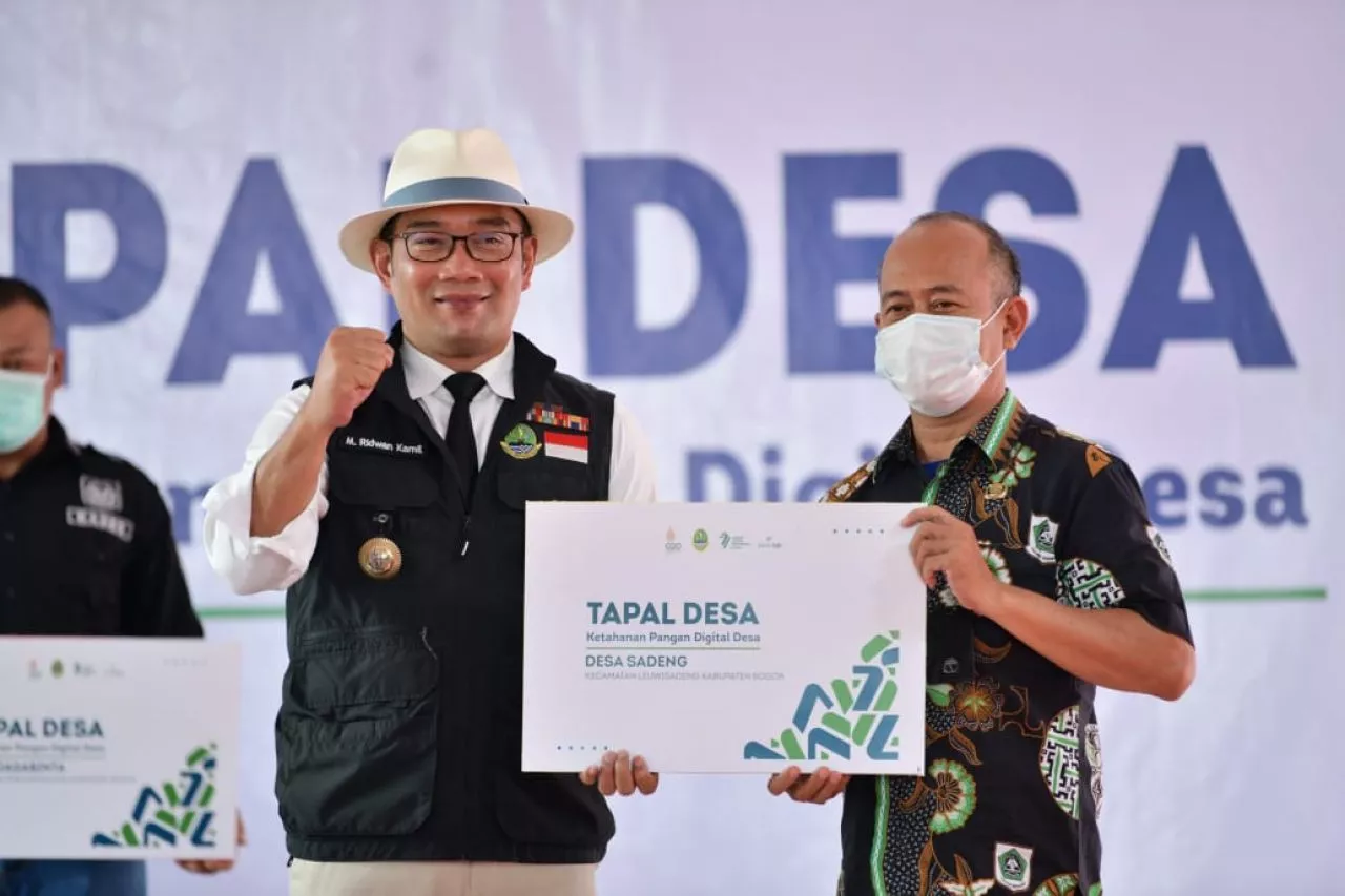 Antisipasi Krisis Pangan, Ridwan Kamil Luncurkan Ketahanan Pangan Digital