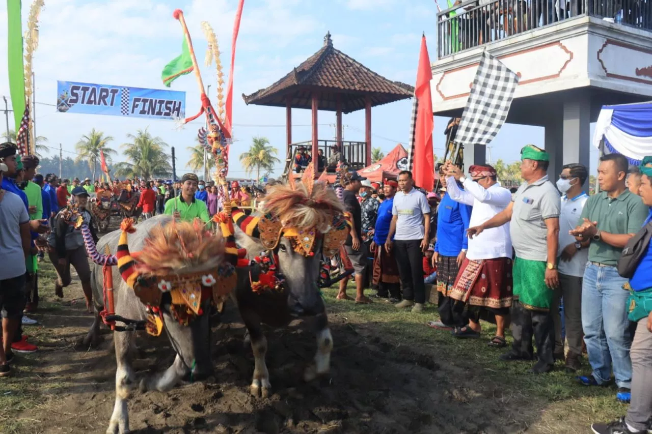 Lomba Mekepung Bupati Cup 2022, Upaya Pelestarian Tradisi Lokal