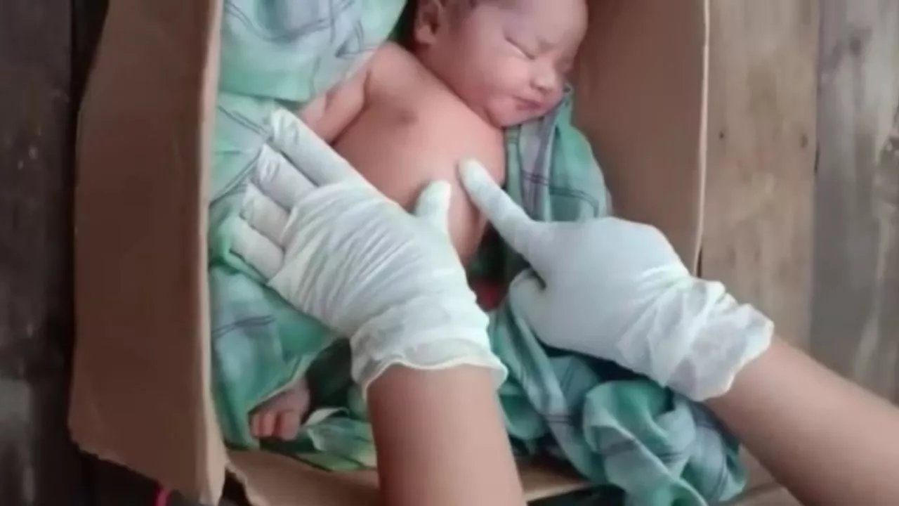 Tega! Bayi Mungil Ditemukan Terbungkus Kardus di Desa Badrain, Warga Geger
