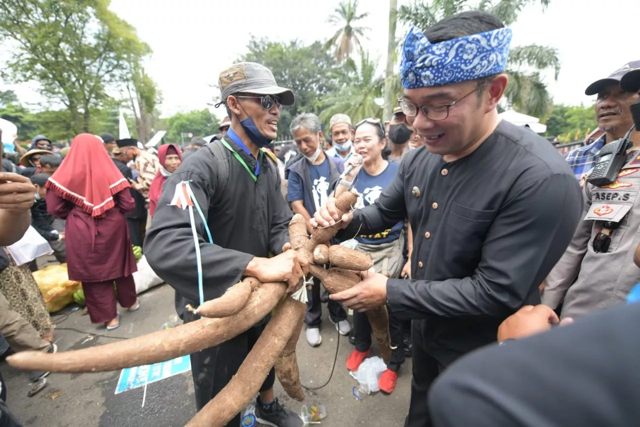 Ridwan Kamil Temui Massa AP2SI yang Berunjuk Rasa di Depan Gedung Sate