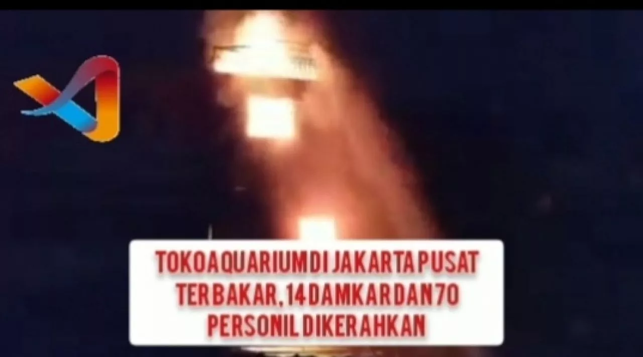 Toko Aquarium di Jakarta Pusat Terbakar, 14 Damkar dan 70 Personil Dikerahkan