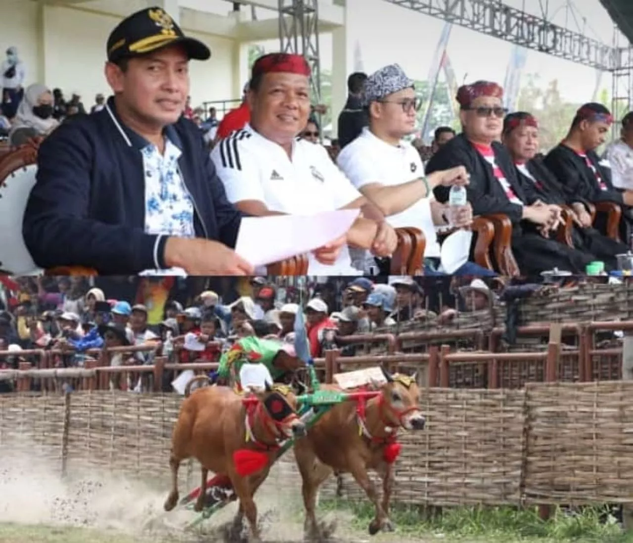 Kabupaten Sampang Borong Juara Karapan Sapi Piala Presiden 2022 di Bangkalan