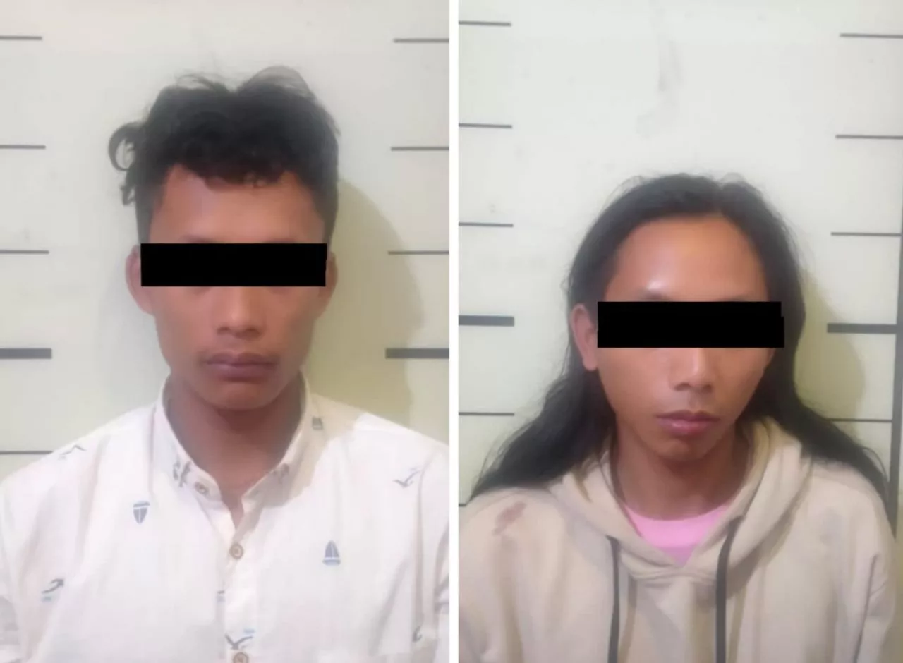 Curi Motor di Persawahan, Dua Pelaku di Lawang Diringkus Polisi