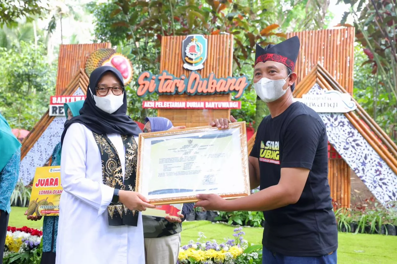 Tambah Tiga Lagi Varietas Durian Merah Banyuwangi Terdaftar di Kementan
