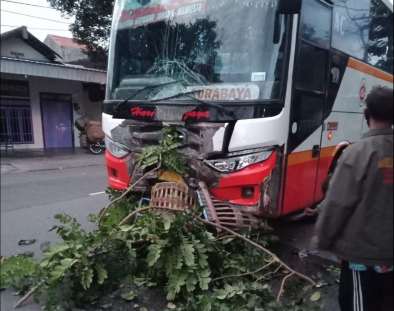 Hindari Ranting Pohon, Pemotor di Kediri Tewas Ditabrak Bus