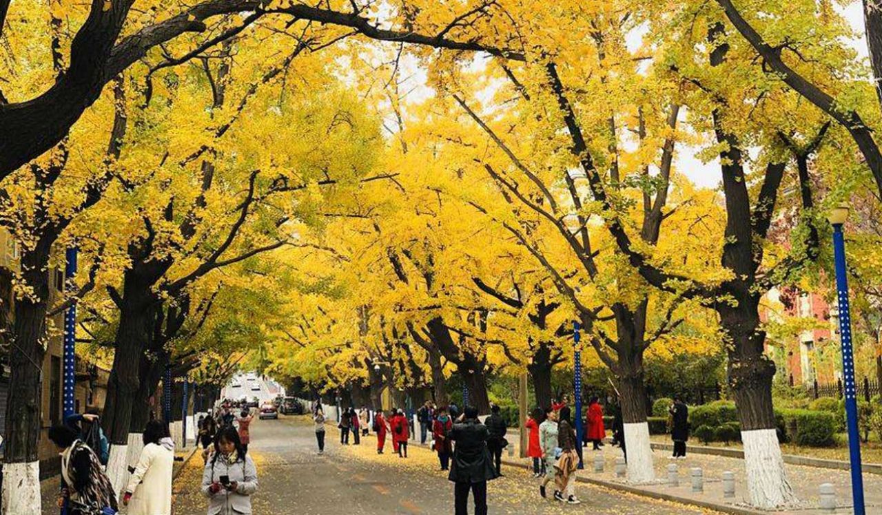 Dandong, Provinsi Liaoning (Foto China Xinhua)