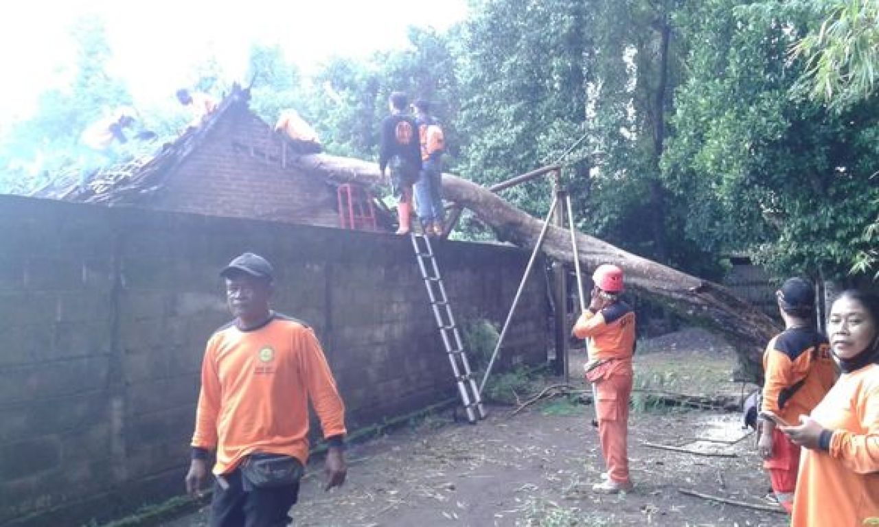Salah satu rumah warga di Kalurahan Tamantirto