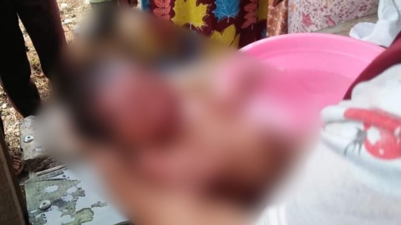 Siswa MIS di Aceh Temukan Bayi di Sekolah, Beruntung Bayi Selamat