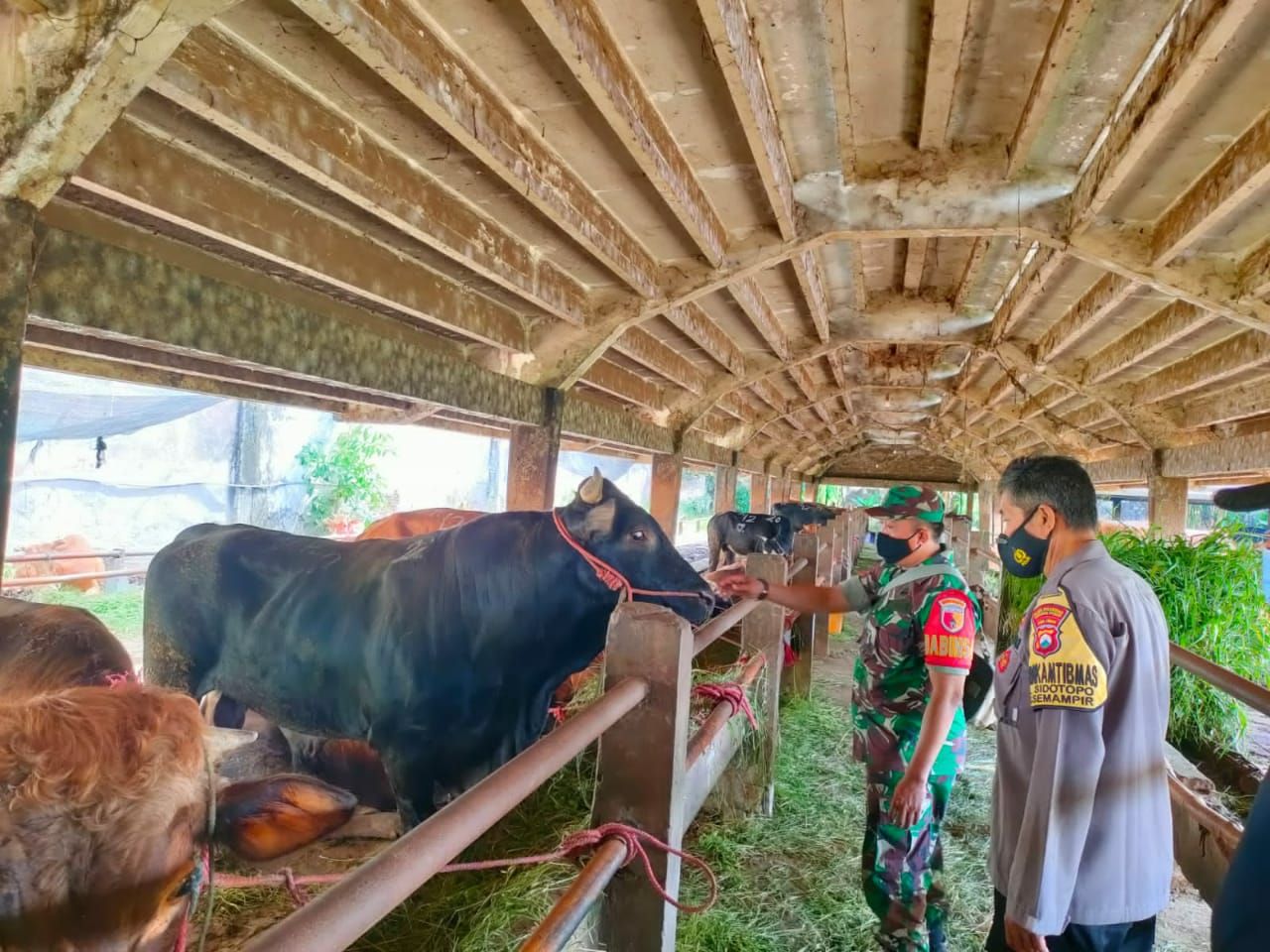 RPH (Rumah Pemotongan Hewan) Jl. Pegirian Kelurahan Sidotopo Kecamatan Semampir Babinsa bersama 3 Pilar melaksanakan Kegiatan Pengawasan dan Pemeriksaan Penyakit Mulut dan Kuku (PMK) terhadap Hewan Ternak (Sapi) yang akan dipotong