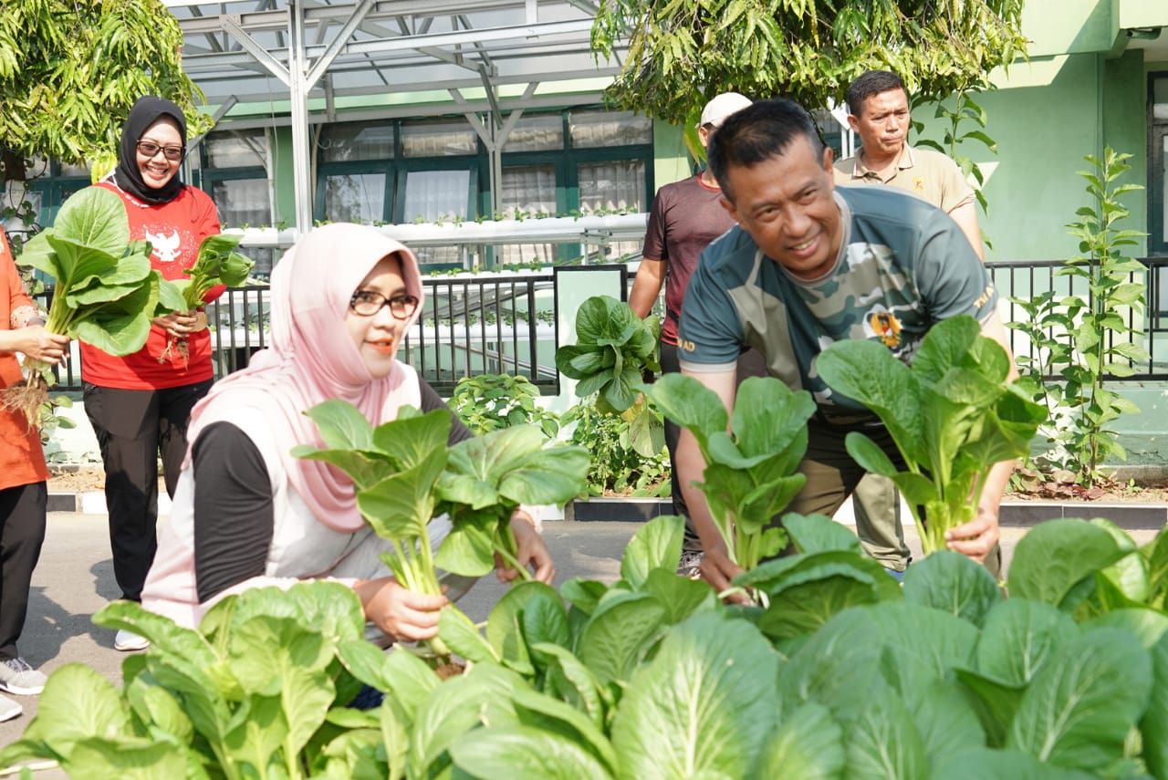 Brigjen TNI Terry Tresna Purnama, S.I.Kom., M.M. didampingi Ketua Persit KCK Koorcab Rem 084 PD V/Brawijaya ibu Retno Terry Tresna Purnama panen sayuran