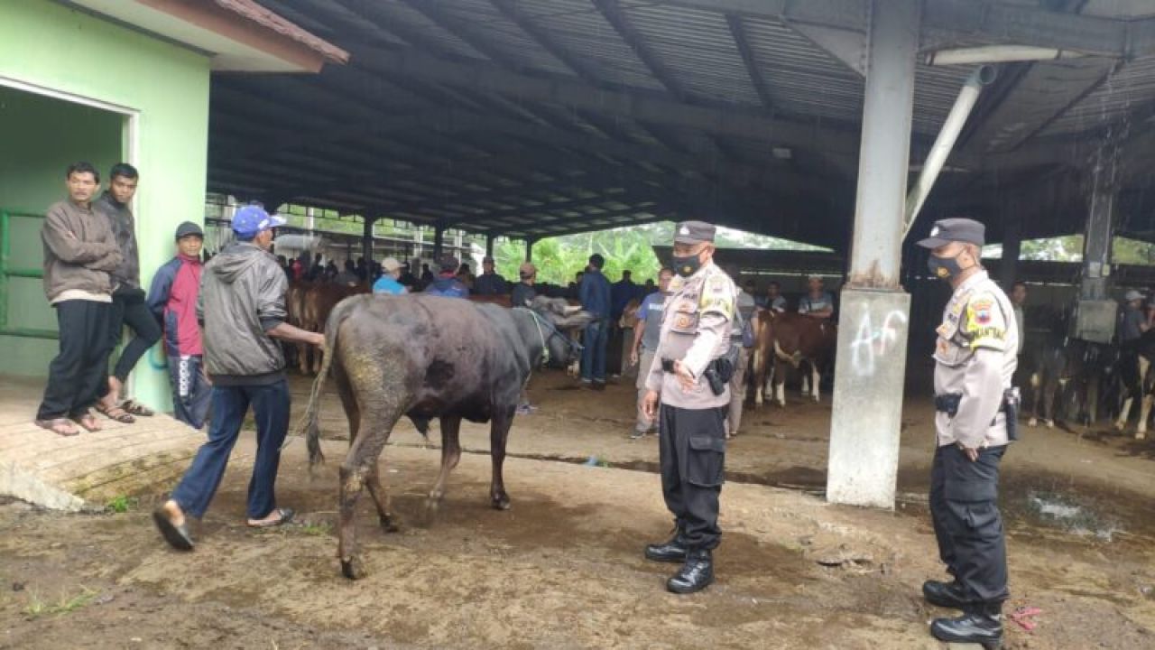 Babinkamtibmas Polsek Wonosobo cek PMK di pasar hewan Wonolelo