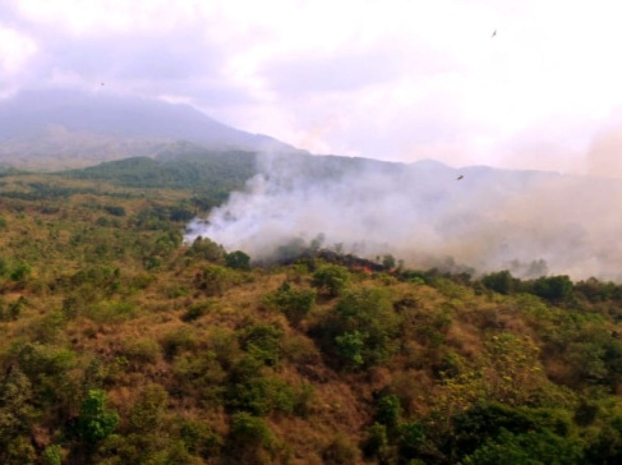 Seluas 95 Hektar Hutan di Gunung Ciremai Hangus Dibakar si Jago Merah