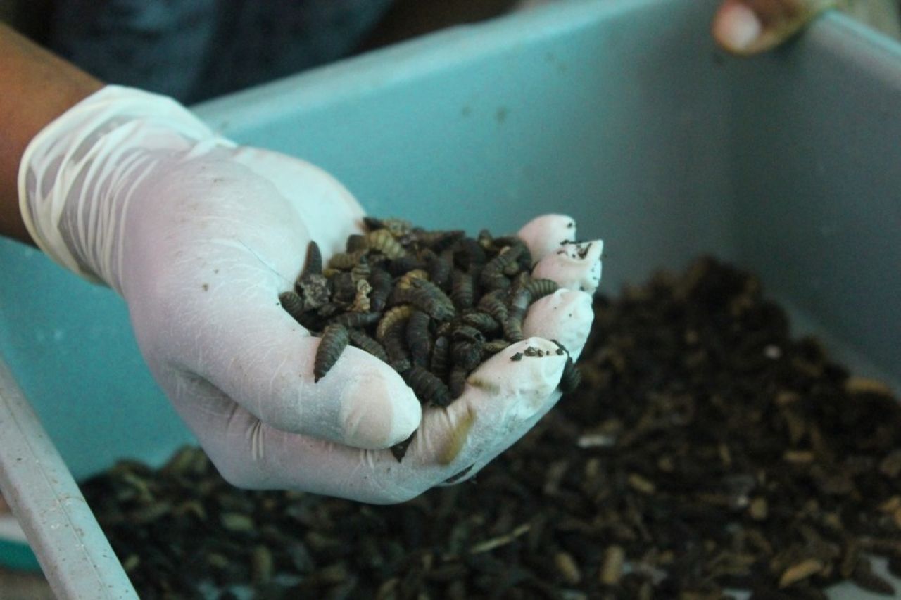 Beri Makan 700 Kepala Penghuni Liponsos, Ini Cara Unik Pemkot Surabaya