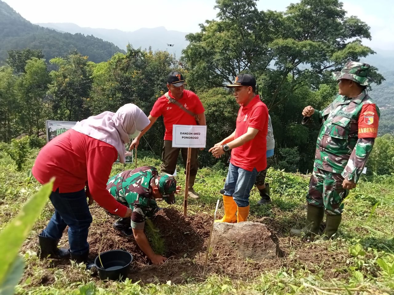 Penghijauan Lahan di Probolinggo, Perhutani Lawu Tanam Ribuan Pohon