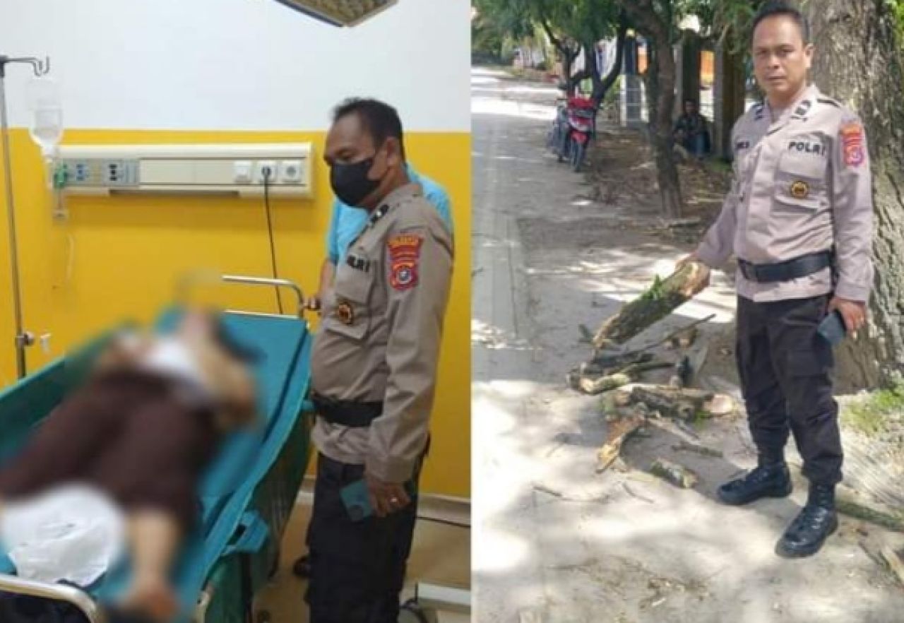 Kejatuhan Dahan Pohon Saat Berkendara, Siswi SMAN 2 Konsel Alami Laka