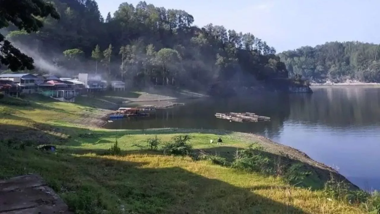 Di Telaga Ngebel Ngawi Kini Banyak Bermunculan Monyet Ekor Panjang