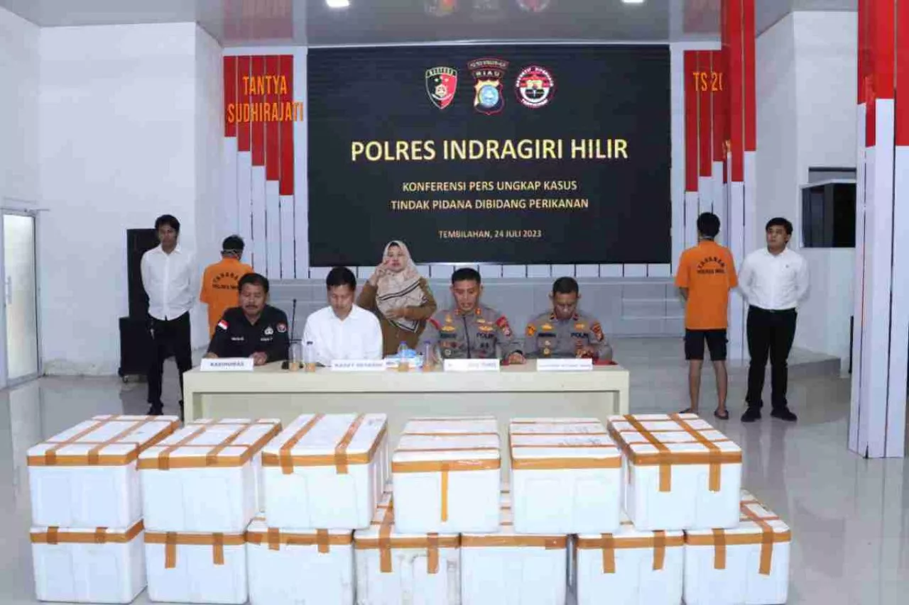 Kepolisian Inhil Gagalkan Penyelundupan 70 Ribu Benih Lobster Senilai 14 Miliar
