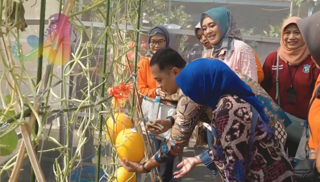 Eri Cahyadi Panen Golden Melon di Kelurahan Medokan Ayu Surabaya
