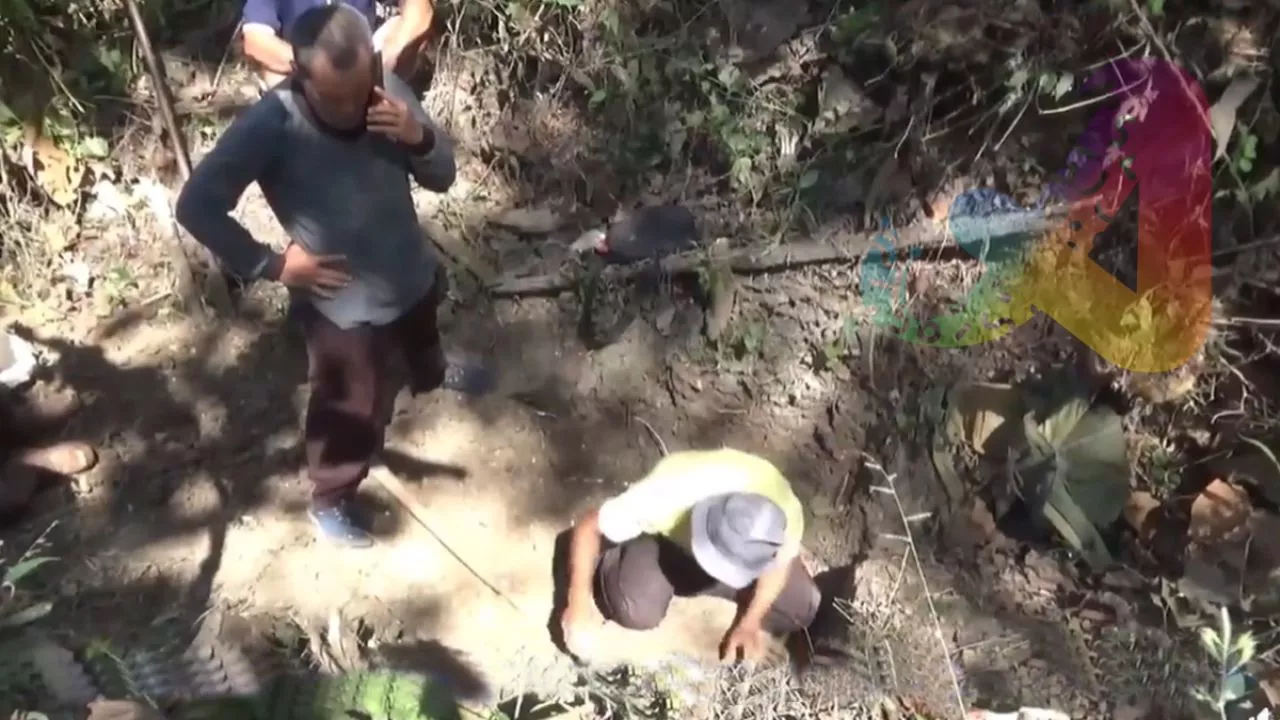 Fosil Gajah Purba Berusia 800.000 Tahun Ditemukan di Hutan Tritik Nganjuk
