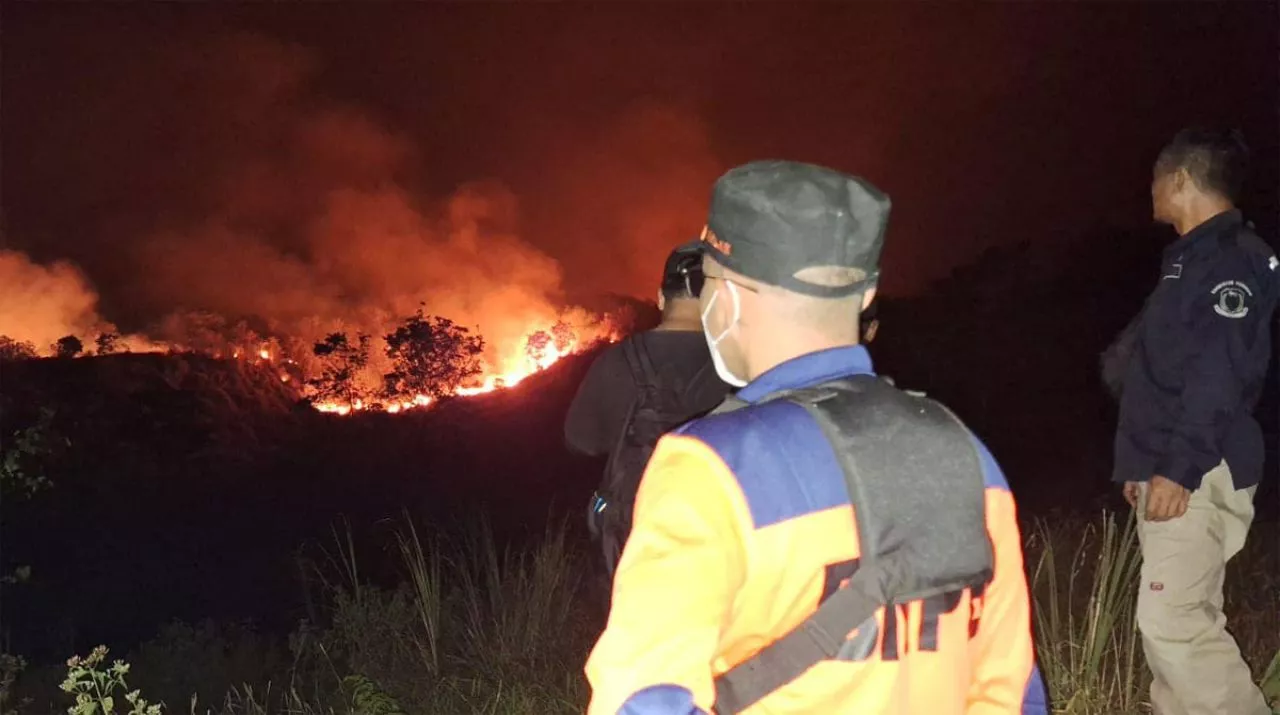 Kebakaran di Gunung Ciremai Jabar, 133 Hektar Lahan Hangus Dilalap Api
