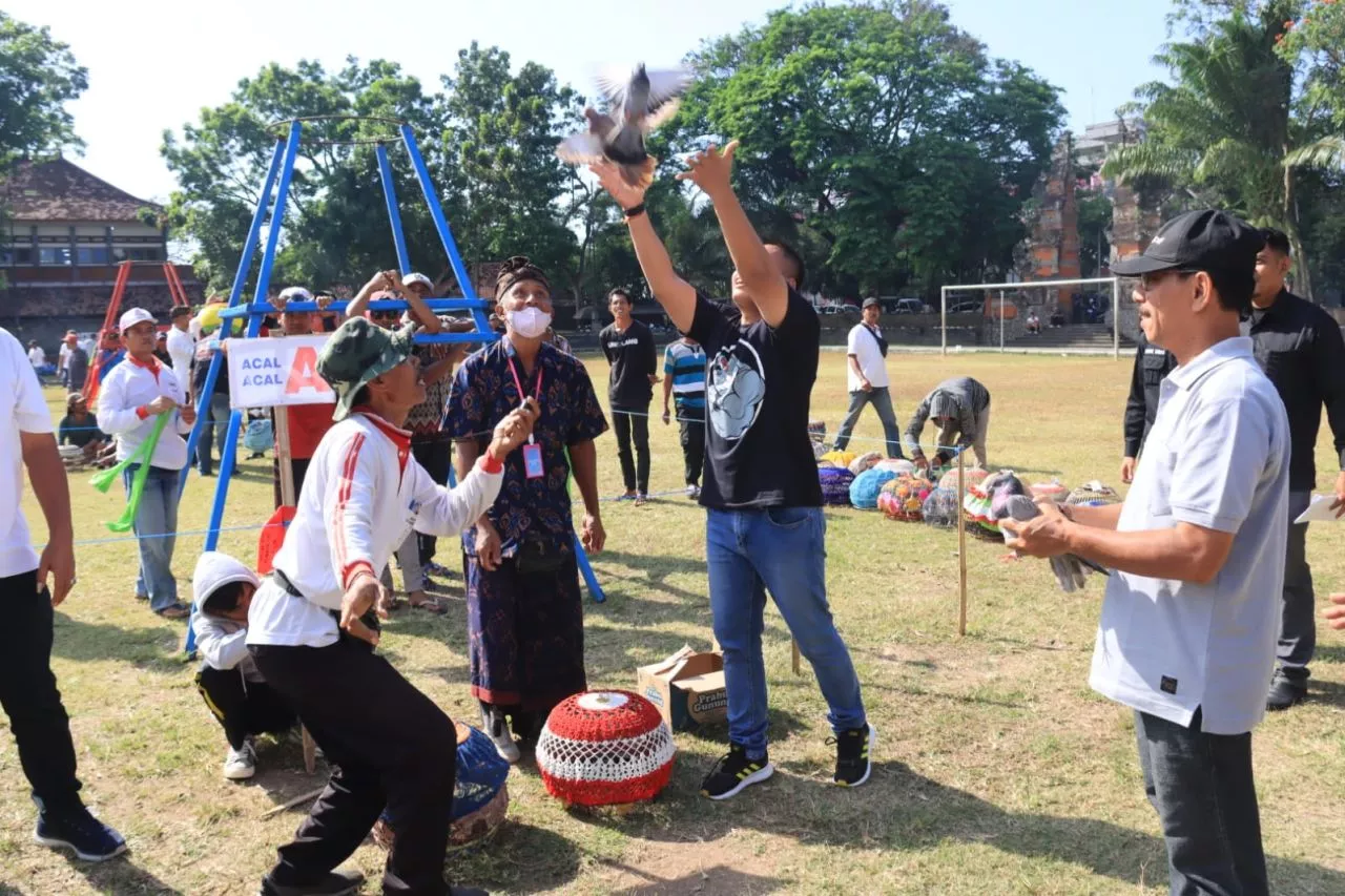 Lestarikan Budaya Lokal, Lomba Burung Merpati Terbang Tinggi Kembali Digelar