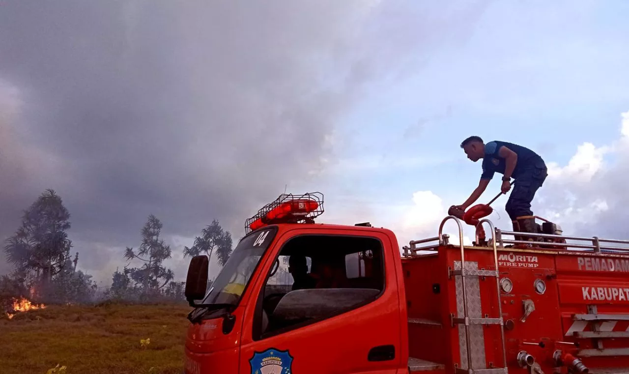 Kebakaran Lahan Kembali Terjadi di Desa Komala, Kabupaten Wakatobi