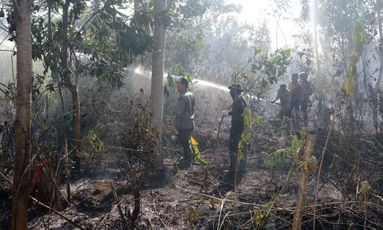 Kebakaran di Forest City Pemprov Kalsel, 170 Awak Damkar Dikerahkan ke Lokasi