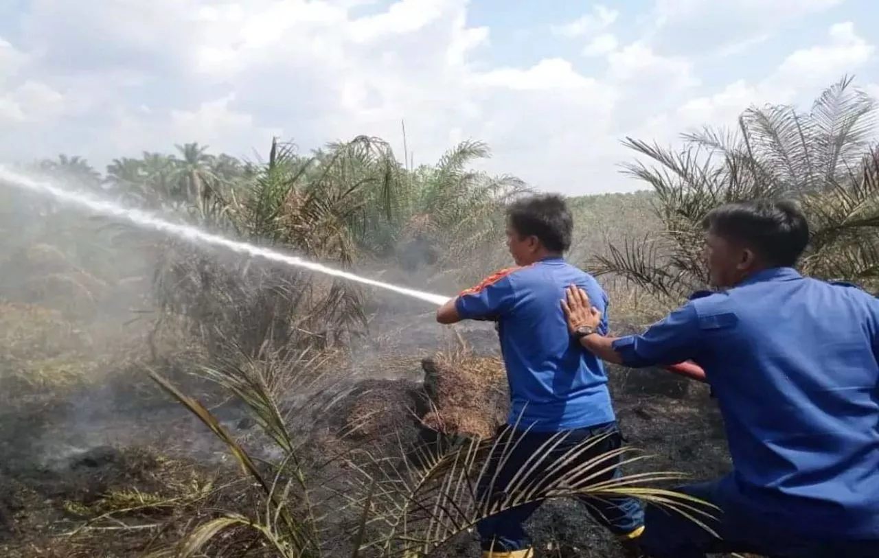 Lahan Sawit Milik Pensiunan Polisi di Muara Enim Terbakar