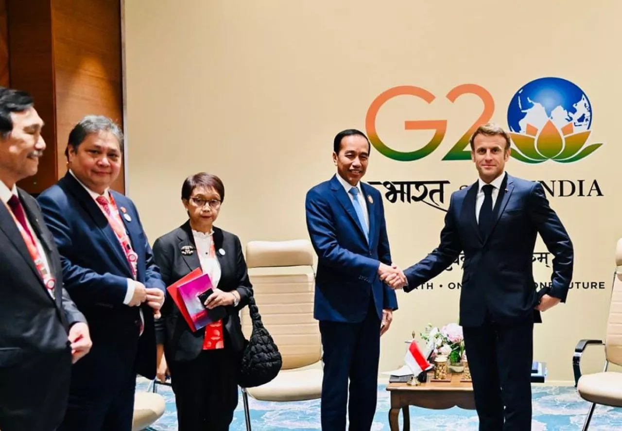 Di KTT G20 New Delhi, Jokowi Apresiasi Investasi Prancis di Indonesia