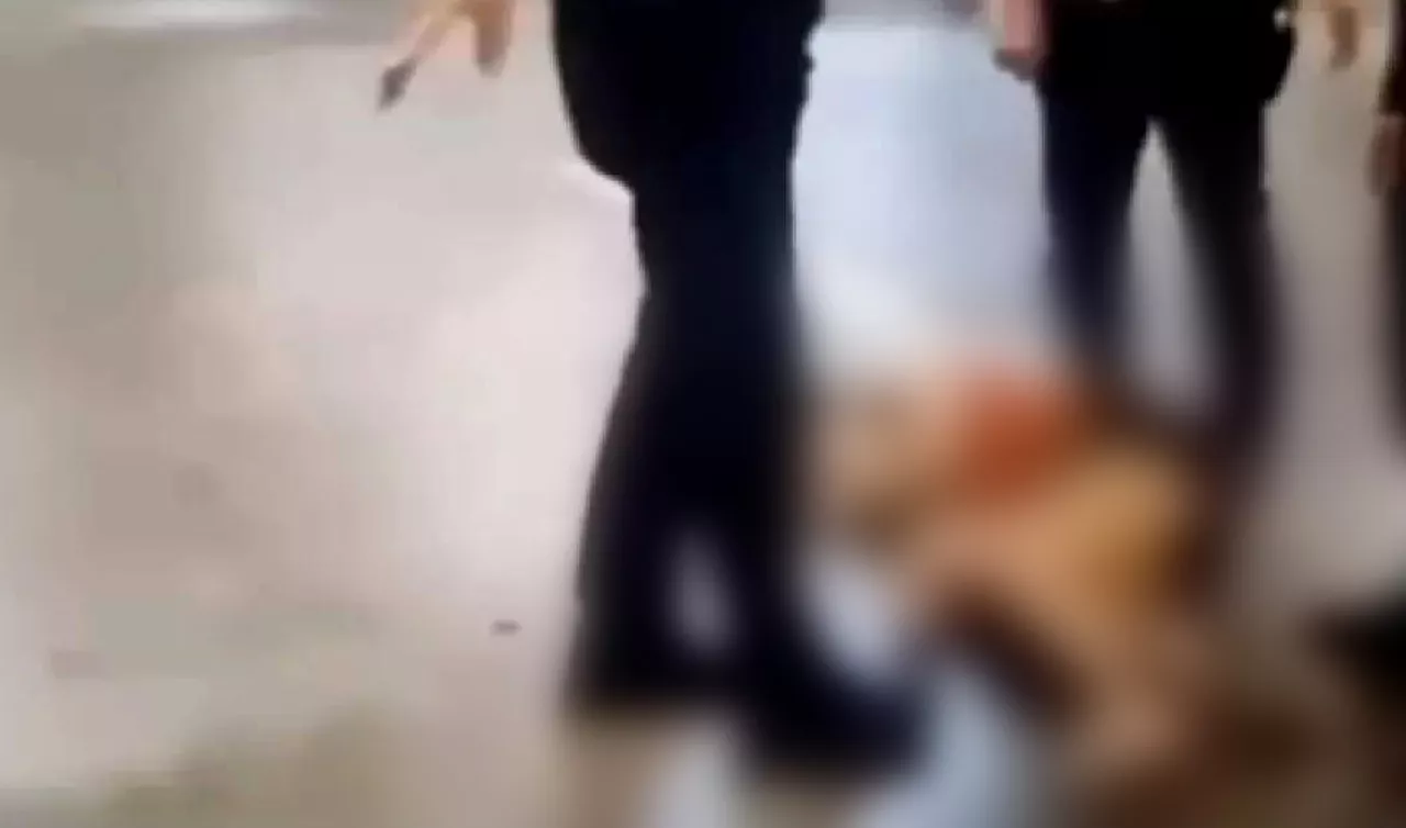 Tegakkan Keadilan, Anak DPR RI Fraksi PKB Jadi Pembunuh Sadis Dini Sera Afrianti
