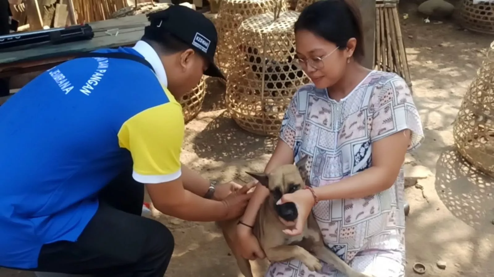 Peringati World Rabies Day, Pemkab Jembrana Gelar Sosialisasi dan Vaksinasi Rabies