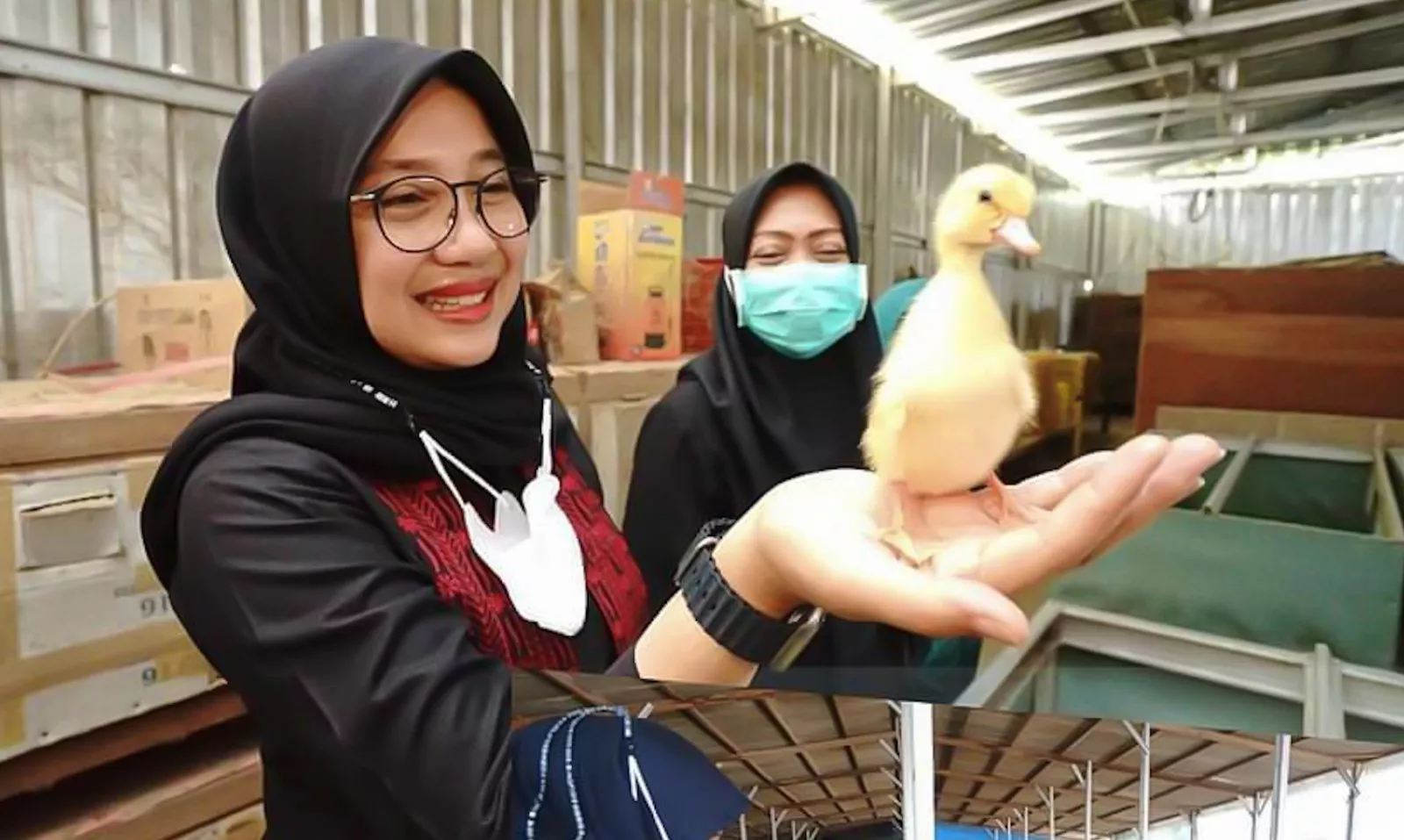 Ipuk Fiestiandani Ngantor di Desa Bebek Lewat Program Bunga Desa