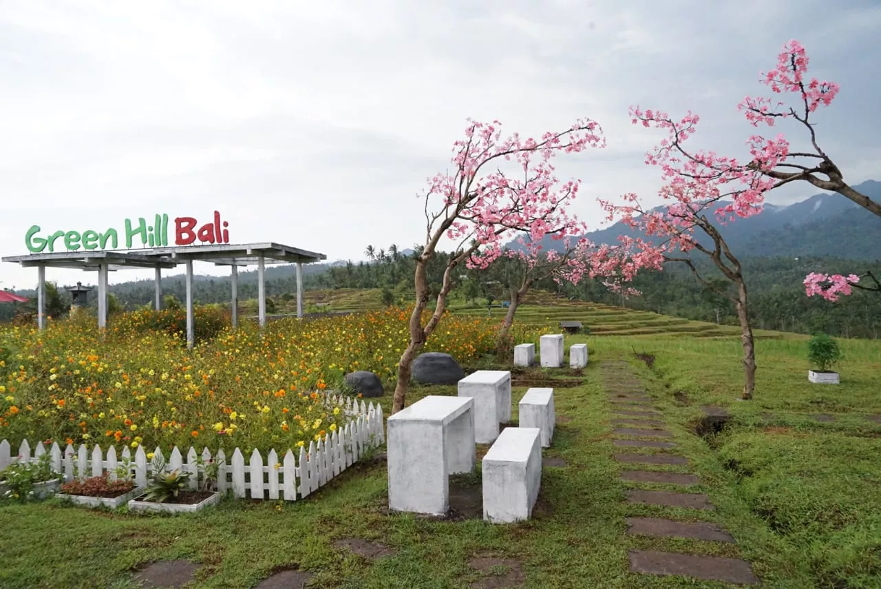 Agrowisata Green Hill Bali Dibuka, lengkapi destinasi wisata alam milik Jembrana