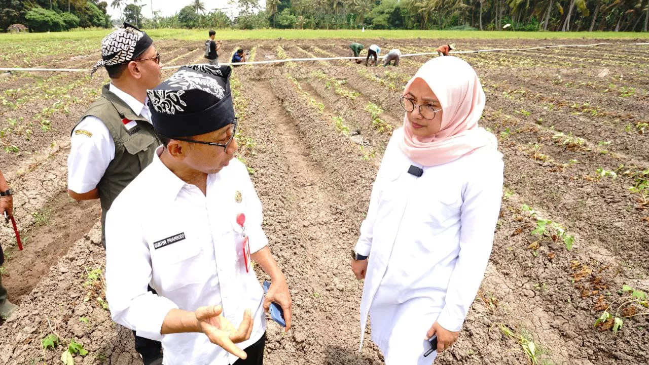 Ipuk Fiestiandani Cek Ketersediaan Air untuk Pertanian di Tengah Kemarau Panjang