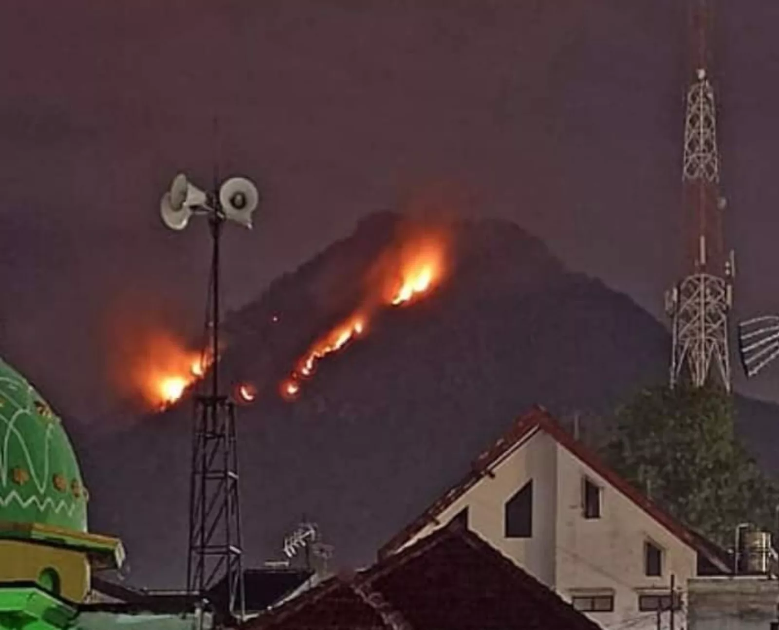 Kebakaran Gunung Panderman Makin Luas Hingga 29 Hektar, Hewan-hewan Mengungsi