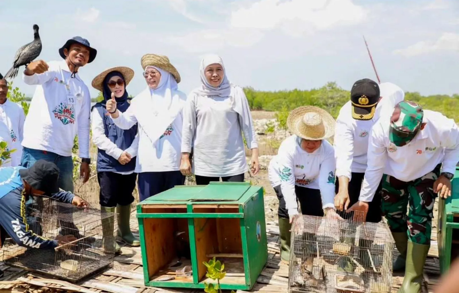 Gubernur Khofifah Indar Parawansa Tanam 22 Ribu Bibit Mangrove di Sumenep