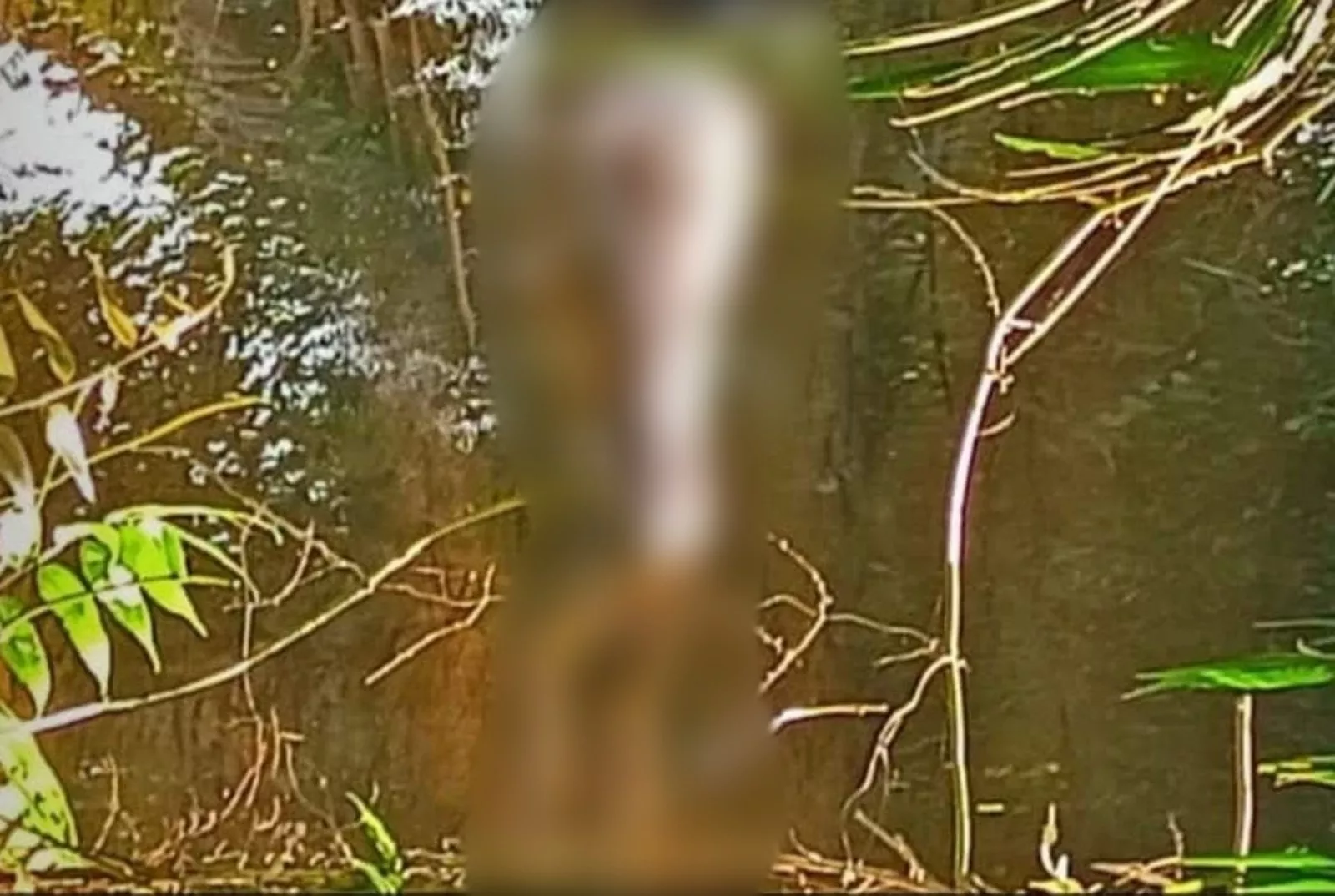 Warga Rantau Badauh Barito Geger, Mayat Lelaki Ditemukan Mengapung di Sungai