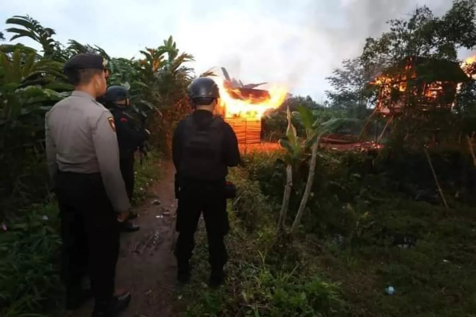 Polda Sumut Bakar Markas Narkoba dan Judi, Amankan 2 Pengedar serta 15 Pemakai